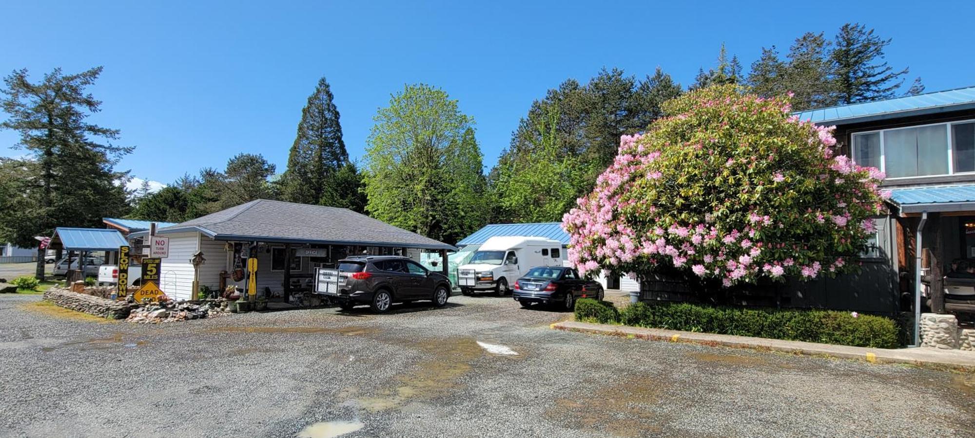 The Bunkhouse Motel Nehalem Exterior foto